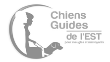  L'image du logo de https://www.chiens-guides-est.org/